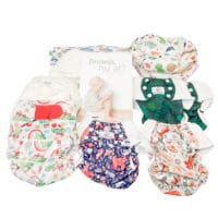 Zindelijkheidspakket Weststellingwerf